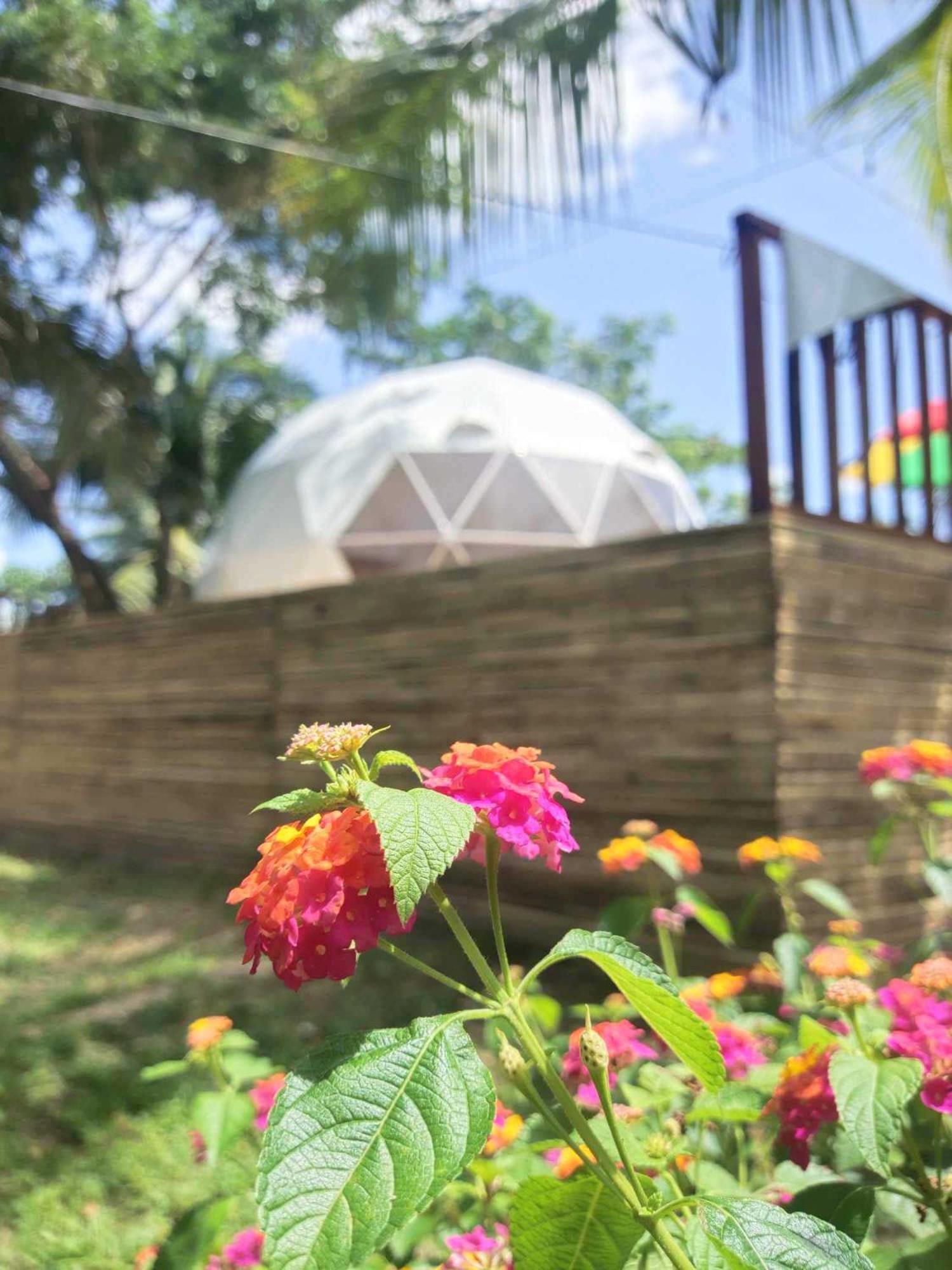 Eco Glamping Treehouses Closest Resort To All Tourist Attractions Balilihan Dış mekan fotoğraf